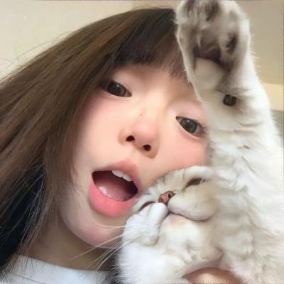 幕府风云